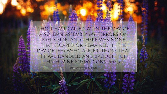 Picture 07 - Lamentations 2:22 ASV Desktop Wallpaper - Thou hast called, as in the day of a solemn - Desktop Bible Verse Wallpaper