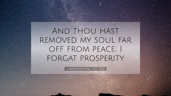 Picture 07 - Lamentations 3:17 ASV Desktop Wallpaper - And thou hast removed my soul far off from peace; - Desktop Bible Verse Wallpaper