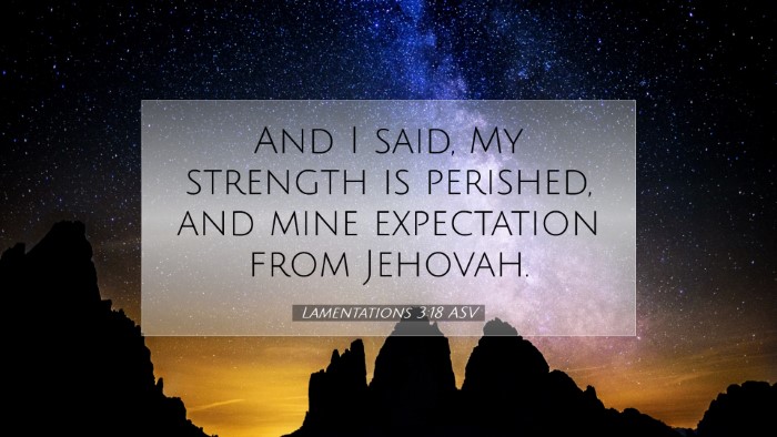 Picture 07 - Lamentations 3:18 ASV Desktop Wallpaper - And I said, My strength is perished, and mine - Desktop Bible Verse Wallpaper