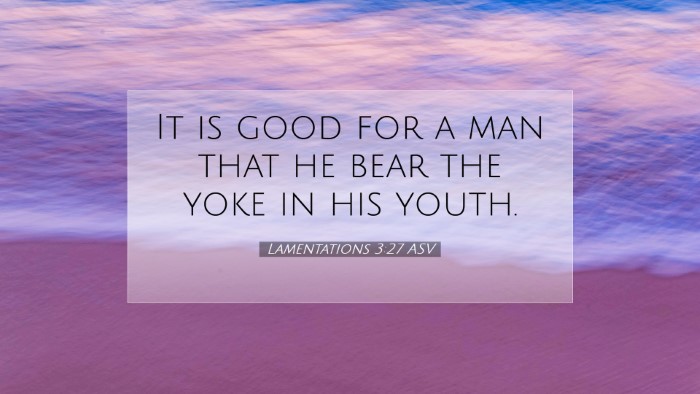 Picture 07 - Lamentations 3:27 ASV Desktop Wallpaper - It is good for a man that he bear the yoke in his - Desktop Bible Verse Wallpaper