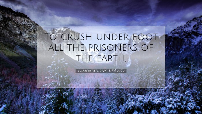 Picture 07 - Lamentations 3:34 ASV Desktop Wallpaper - To crush under foot all the prisoners of the - Desktop Bible Verse Wallpaper