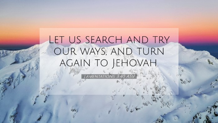 Picture 07 - Lamentations 3:40 ASV Desktop Wallpaper - Let us search and try our ways, and turn again to - Desktop Bible Verse Wallpaper