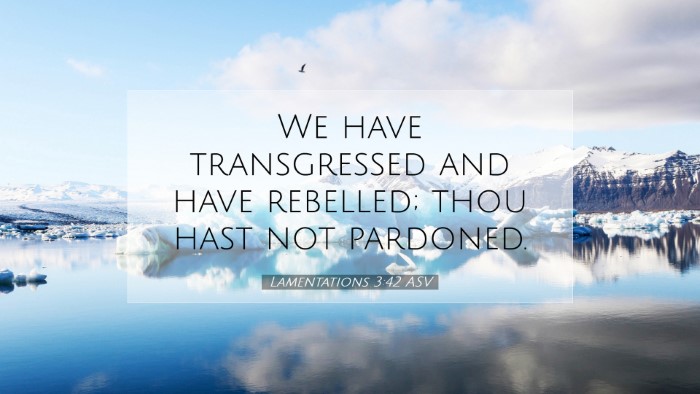 Picture 07 - Lamentations 3:42 ASV Desktop Wallpaper - We have transgressed and have rebelled; thou hast - Desktop Bible Verse Wallpaper