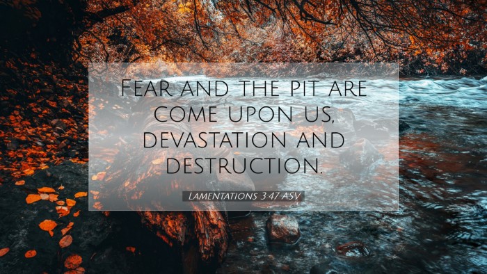 Picture 07 - Lamentations 3:47 ASV Desktop Wallpaper - Fear and the pit are come upon us, devastation - Desktop Bible Verse Wallpaper