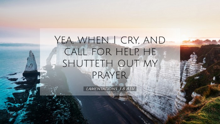 Picture 07 - Lamentations 3:8 ASV Desktop Wallpaper - Yea, when I cry, and call for help, he shutteth - Desktop Bible Verse Wallpaper