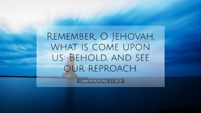Picture 07 - Lamentations 5:1 ASV Desktop Wallpaper - Remember, O Jehovah, what is come upon us: - Desktop Bible Verse Wallpaper