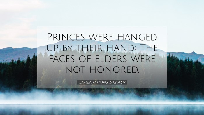 Picture 07 - Lamentations 5:12 ASV Desktop Wallpaper - Princes were hanged up by their hand: The faces - Desktop Bible Verse Wallpaper