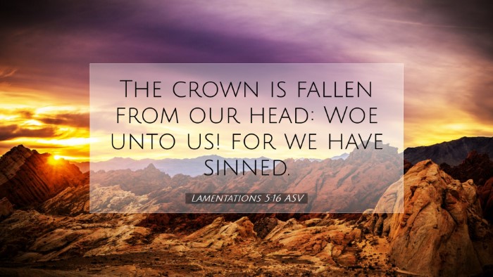Picture 07 - Lamentations 5:16 ASV Desktop Wallpaper - The crown is fallen from our head: Woe unto us! - Desktop Bible Verse Wallpaper