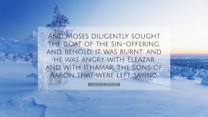 Picture 07 - Leviticus 10:16 ASV Desktop Wallpaper - And Moses diligently sought the goat of the - Desktop Bible Verse Wallpaper
