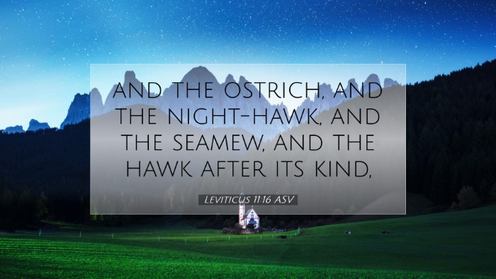 Picture 07 - Leviticus 11:16 ASV Desktop Wallpaper - and the ostrich, and the night-hawk, and the - Desktop Bible Verse Wallpaper