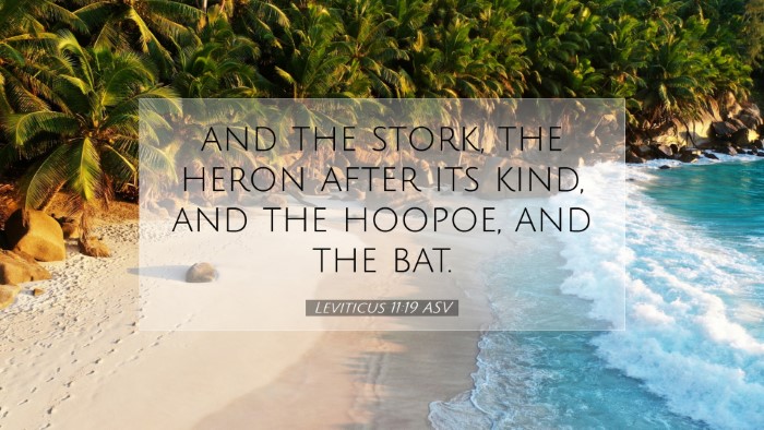 Picture 07 - Leviticus 11:19 ASV Desktop Wallpaper - and the stork, the heron after its kind, and the - Desktop Bible Verse Wallpaper