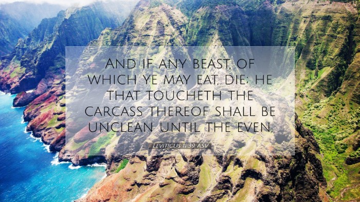 Picture 07 - Leviticus 11:39 ASV Desktop Wallpaper - And if any beast, of which ye may eat, die; he - Desktop Bible Verse Wallpaper