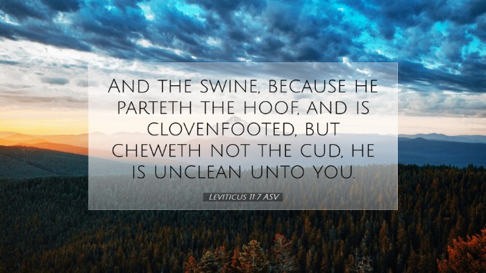 Picture 07 - Leviticus 11:7 ASV Desktop Wallpaper - And the swine, because he parteth the hoof, and - Desktop Bible Verse Wallpaper