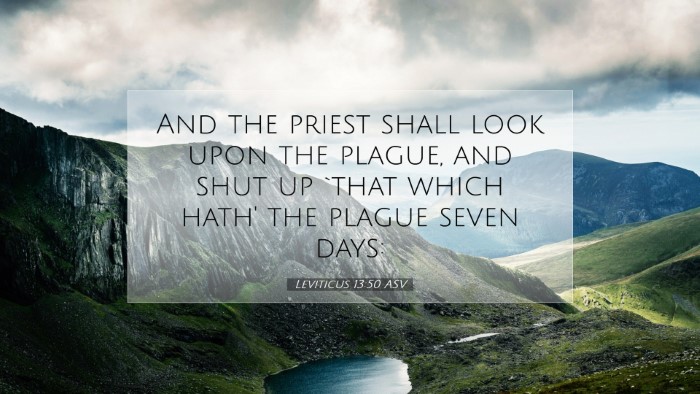 Picture 07 - Leviticus 13:50 ASV Desktop Wallpaper - And the priest shall look upon the plague, and - Desktop Bible Verse Wallpaper