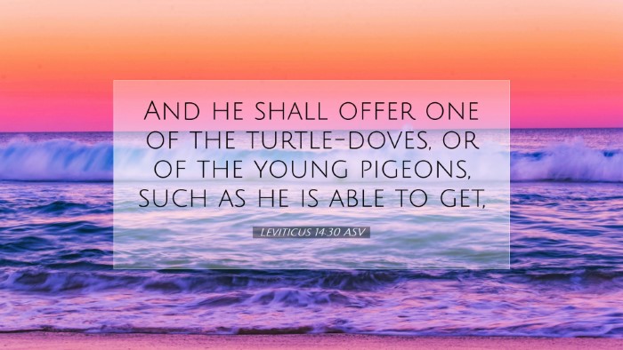 Picture 07 - Leviticus 14:30 ASV Desktop Wallpaper - And he shall offer one of the turtle-doves, or of - Desktop Bible Verse Wallpaper