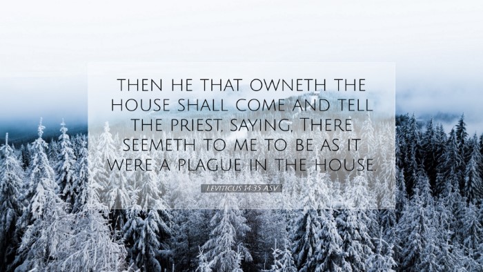 Picture 07 - Leviticus 14:35 ASV Desktop Wallpaper - then he that owneth the house shall come and tell - Desktop Bible Verse Wallpaper