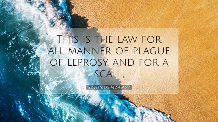 Picture 07 - Leviticus 14:54 ASV Desktop Wallpaper - This is the law for all manner of plague of - Desktop Bible Verse Wallpaper