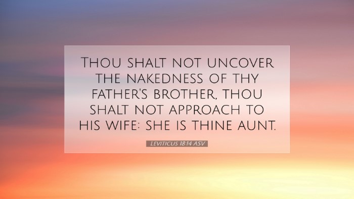 Picture 07 - Leviticus 18:14 ASV Desktop Wallpaper - Thou shalt not uncover the nakedness of thy - Desktop Bible Verse Wallpaper