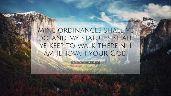 Picture 07 - Leviticus 18:4 ASV Desktop Wallpaper - Mine ordinances shall ye do, and my statutes - Desktop Bible Verse Wallpaper