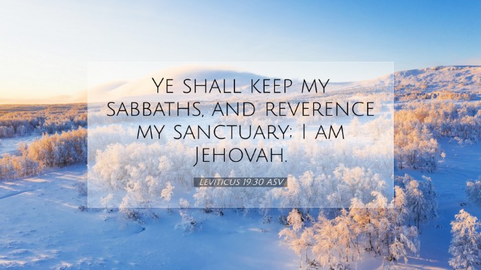 Picture 07 - Leviticus 19:30 ASV Desktop Wallpaper - Ye shall keep my sabbaths, and reverence my - Desktop Bible Verse Wallpaper