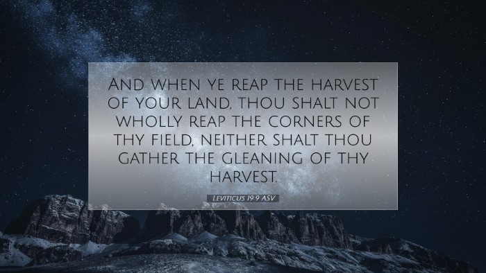 Picture 07 - Leviticus 19:9 ASV Desktop Wallpaper - And when ye reap the harvest of your land, thou - Desktop Bible Verse Wallpaper