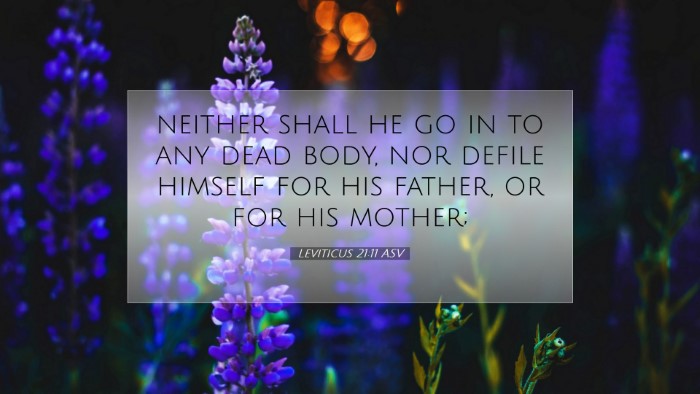 Picture 07 - Leviticus 21:11 ASV Desktop Wallpaper - neither shall he go in to any dead body, nor - Desktop Bible Verse Wallpaper