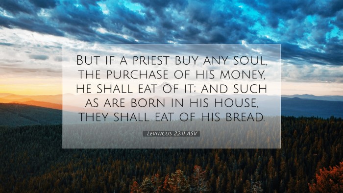 Picture 07 - Leviticus 22:11 ASV Desktop Wallpaper - But if a priest buy any soul, the purchase of his - Desktop Bible Verse Wallpaper