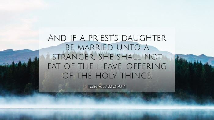 Picture 07 - Leviticus 22:12 ASV Desktop Wallpaper - And if a priest's daughter be married unto a - Desktop Bible Verse Wallpaper