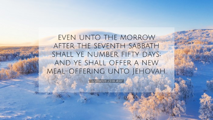 Picture 07 - Leviticus 23:16 ASV Desktop Wallpaper - even unto the morrow after the seventh sabbath - Desktop Bible Verse Wallpaper