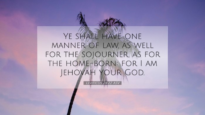 Picture 07 - Leviticus 24:22 ASV Desktop Wallpaper - Ye shall have one manner of law, as well for the - Desktop Bible Verse Wallpaper