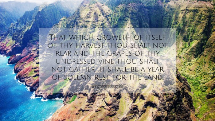 Picture 07 - Leviticus 25:5 ASV Desktop Wallpaper - That which groweth of itself of thy harvest thou - Desktop Bible Verse Wallpaper