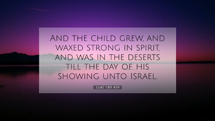 Picture 07 - Luke 1:80 ASV Desktop Wallpaper - And the child grew, and waxed strong in spirit, - Desktop Bible Verse Wallpaper