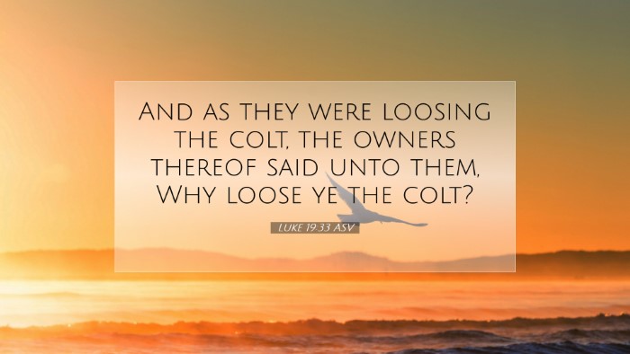 Picture 07 - Luke 19:33 ASV Desktop Wallpaper - And as they were loosing the colt, the owners - Desktop Bible Verse Wallpaper