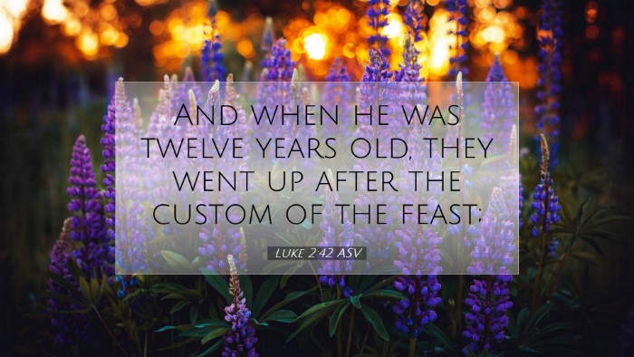 Picture 07 - Luke 2:42 ASV Desktop Wallpaper - And when he was twelve years old, they went up - Desktop Bible Verse Wallpaper