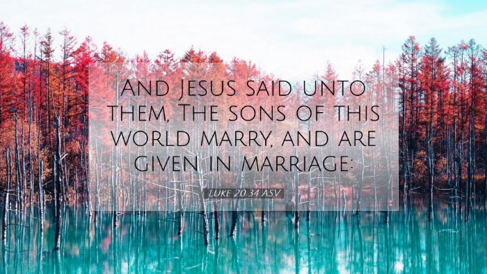 Picture 07 - Luke 20:34 ASV Desktop Wallpaper - And Jesus said unto them, The sons of this world - Desktop Bible Verse Wallpaper