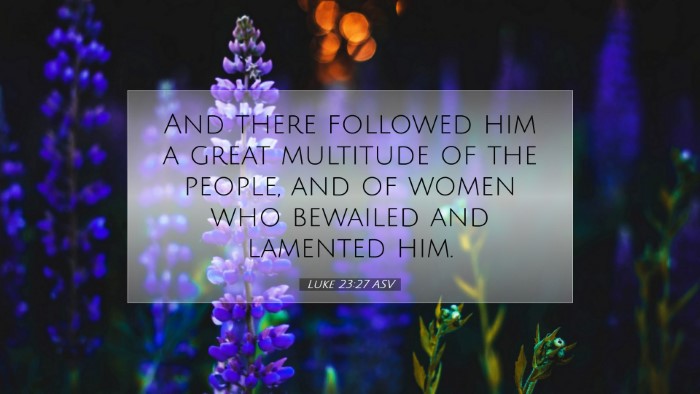 Picture 07 - Luke 23:27 ASV Desktop Wallpaper - And there followed him a great multitude of the - Desktop Bible Verse Wallpaper