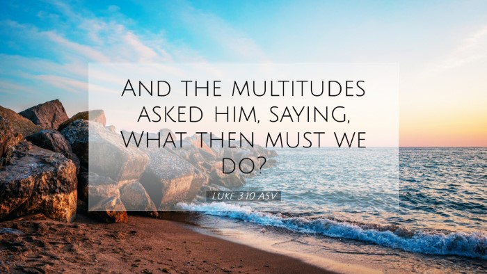 Picture 07 - Luke 3:10 ASV Desktop Wallpaper - And the multitudes asked him, saying, What then - Desktop Bible Verse Wallpaper