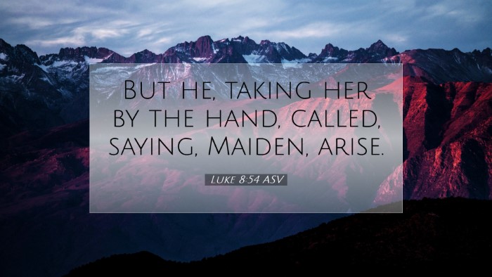 Picture 07 - Luke 8:54 ASV Desktop Wallpaper - But he, taking her by the hand, called, saying, - Desktop Bible Verse Wallpaper