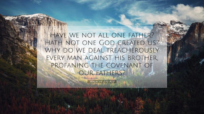 Picture 07 - Malachi 2:10 ASV Desktop Wallpaper - Have we not all one father? hath not one God - Desktop Bible Verse Wallpaper