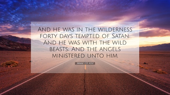 Picture 07 - Mark 1:13 ASV Desktop Wallpaper - And he was in the wilderness forty days tempted - Desktop Bible Verse Wallpaper