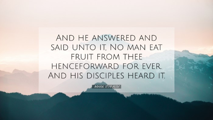 Picture 07 - Mark 11:14 ASV Desktop Wallpaper - And he answered and said unto it, No man eat - Desktop Bible Verse Wallpaper