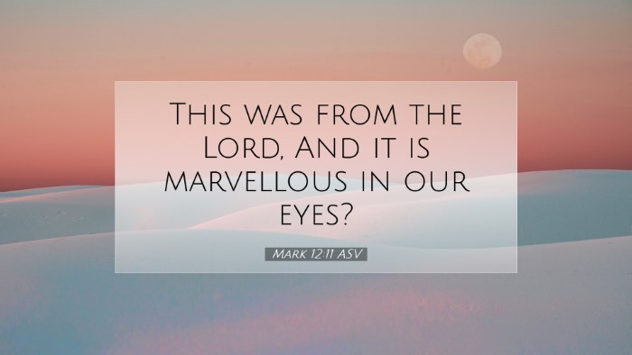 Picture 07 - Mark 12:11 ASV Desktop Wallpaper - This was from the Lord, And it is marvellous in - Desktop Bible Verse Wallpaper