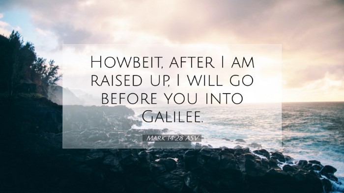 Picture 07 - Mark 14:28 ASV Desktop Wallpaper - Howbeit, after I am raised up, I will go before - Desktop Bible Verse Wallpaper