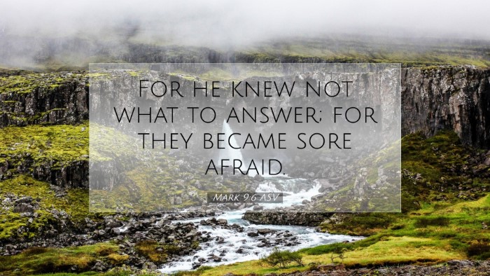 Picture 07 - Mark 9:6 ASV Desktop Wallpaper - For he knew not what to answer; for they became - Desktop Bible Verse Wallpaper