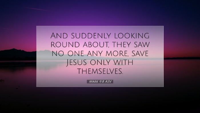 Picture 07 - Mark 9:8 ASV Desktop Wallpaper - And suddenly looking round about, they saw no one - Desktop Bible Verse Wallpaper