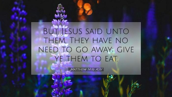Picture 07 - Matthew 14:16 ASV Desktop Wallpaper - But Jesus said unto them, They have no need to go - Desktop Bible Verse Wallpaper