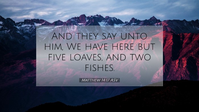 Picture 07 - Matthew 14:17 ASV Desktop Wallpaper - And they say unto him, We have here but five - Desktop Bible Verse Wallpaper