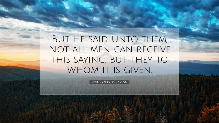 Picture 07 - Matthew 19:11 ASV Desktop Wallpaper - But he said unto them, Not all men can receive - Desktop Bible Verse Wallpaper
