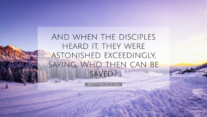 Picture 07 - Matthew 19:25 ASV Desktop Wallpaper - And when the disciples heard it, they were - Desktop Bible Verse Wallpaper