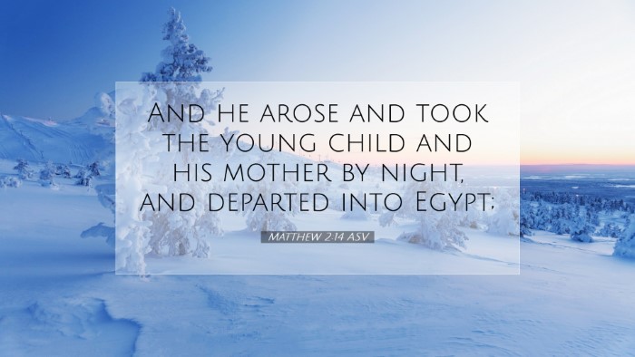 Picture 07 - Matthew 2:14 ASV Desktop Wallpaper - And he arose and took the young child and his - Desktop Bible Verse Wallpaper